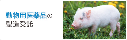動物用医薬品の製造受託