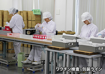 ワクチン検査・包装ライン